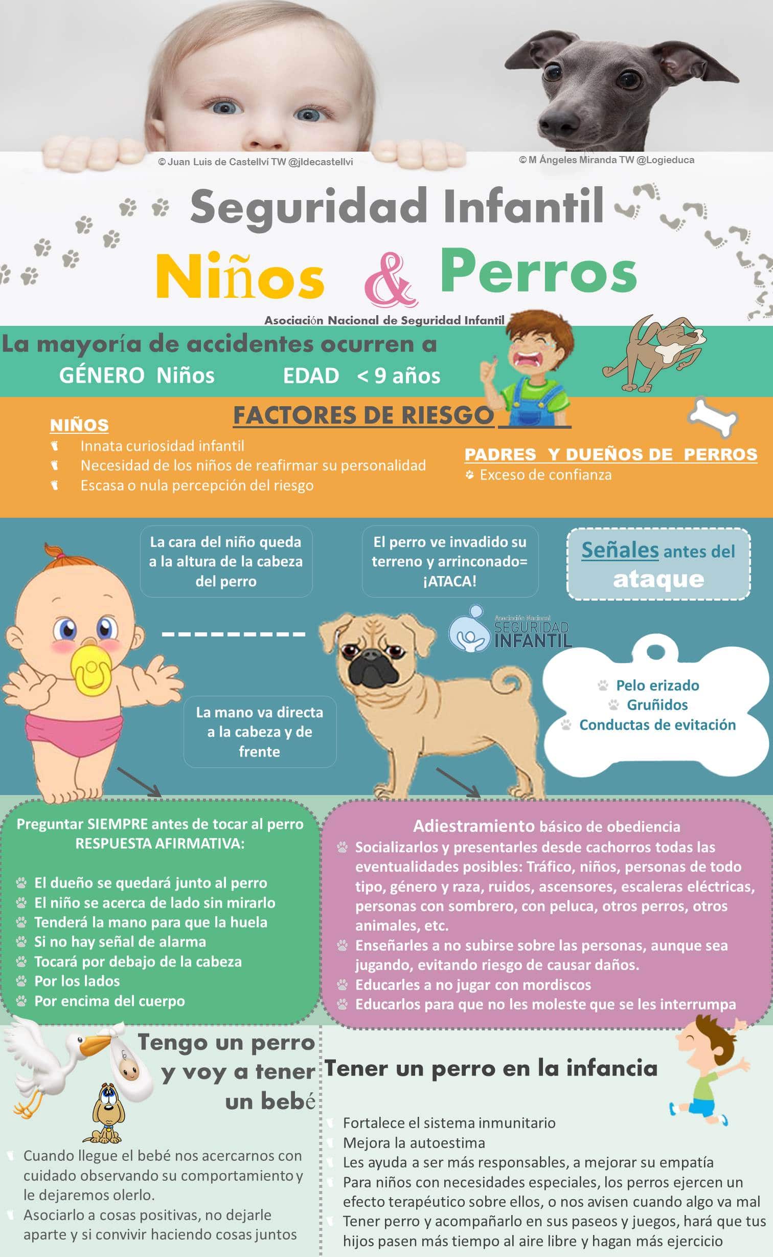 Información sobre perros y seguridad infantil